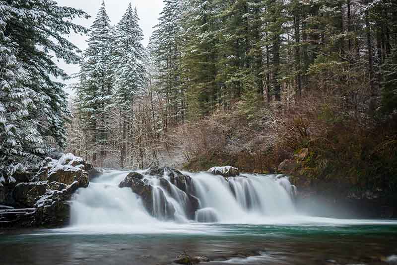 Mental Health Services